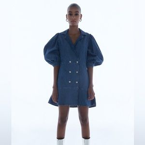 Zara Double Breasted Denim Dress Size S NWT